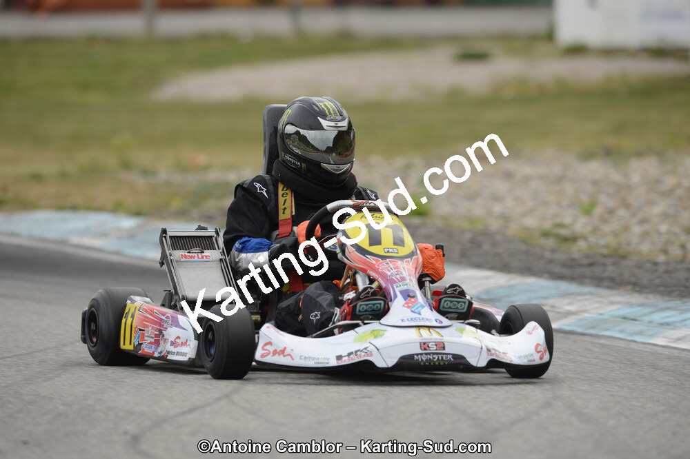 DSC_0804.jpg
