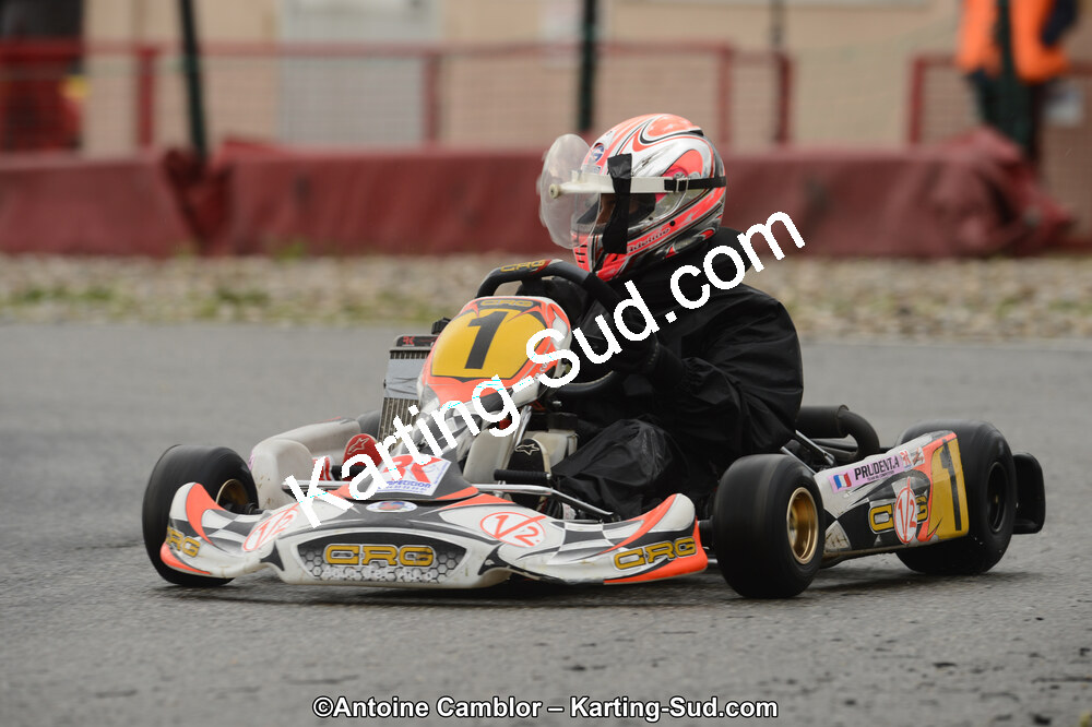 DSC_1246.jpg