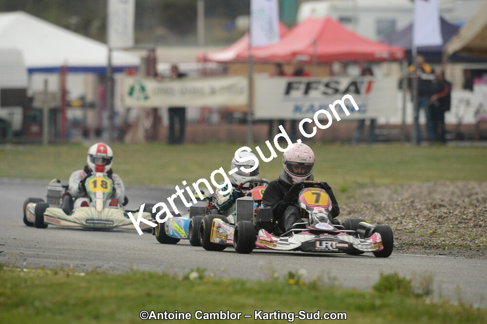 DSC_2017.jpg