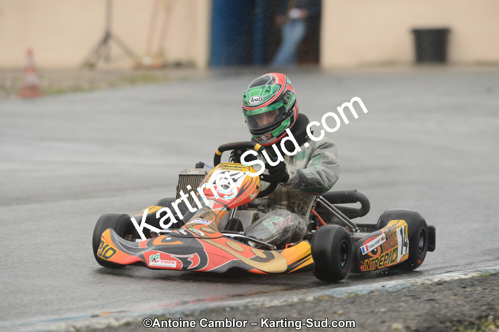 DSC_2342.jpg