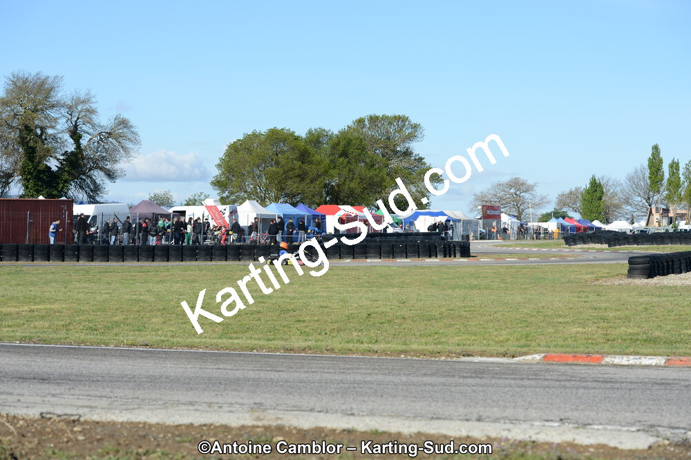 DSC_2686.jpg