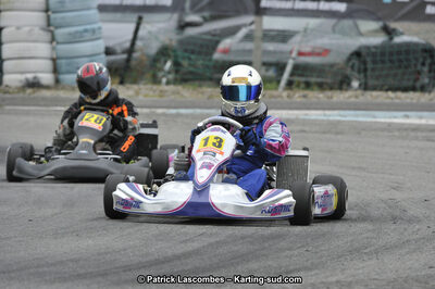 03/06/2012 : National Series Karting 2012 à Lavelanet (Photos Patrick Lascombes) 2012 — karting