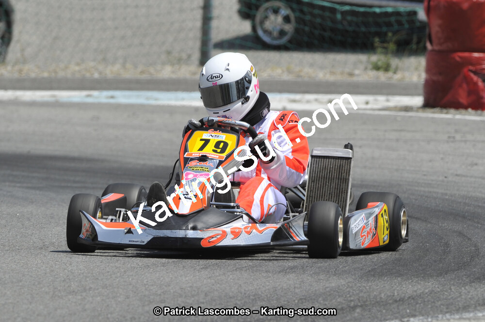 03/06/2012 : National Series Karting 2012 à Lavelanet (Photos Patrick Lascombes) 2012 — karting