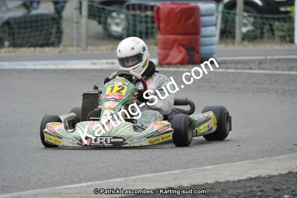 03/06/2012 : National Series Karting 2012 à Lavelanet (Photos Patrick Lascombes) 2012 — karting