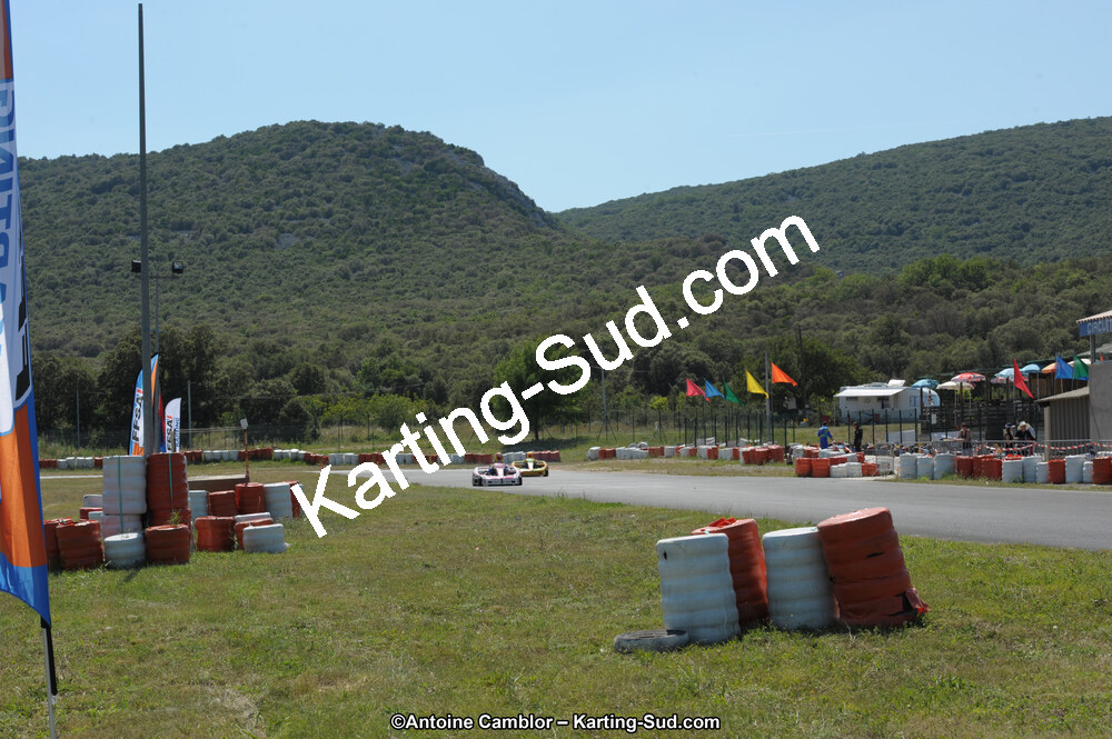 DSC_8515.jpg