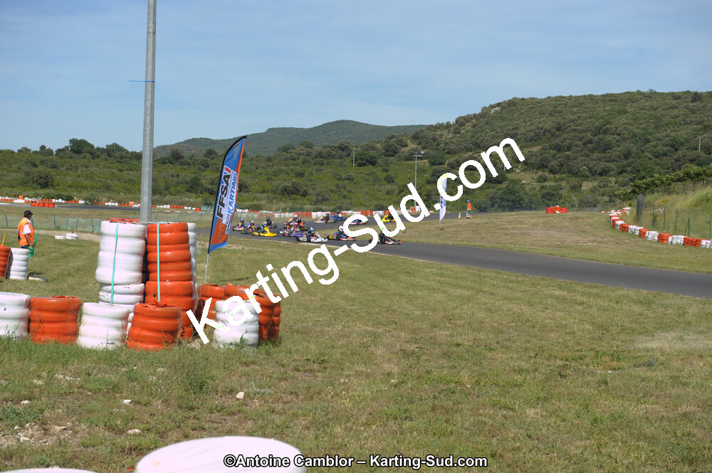 DSC_9181.jpg