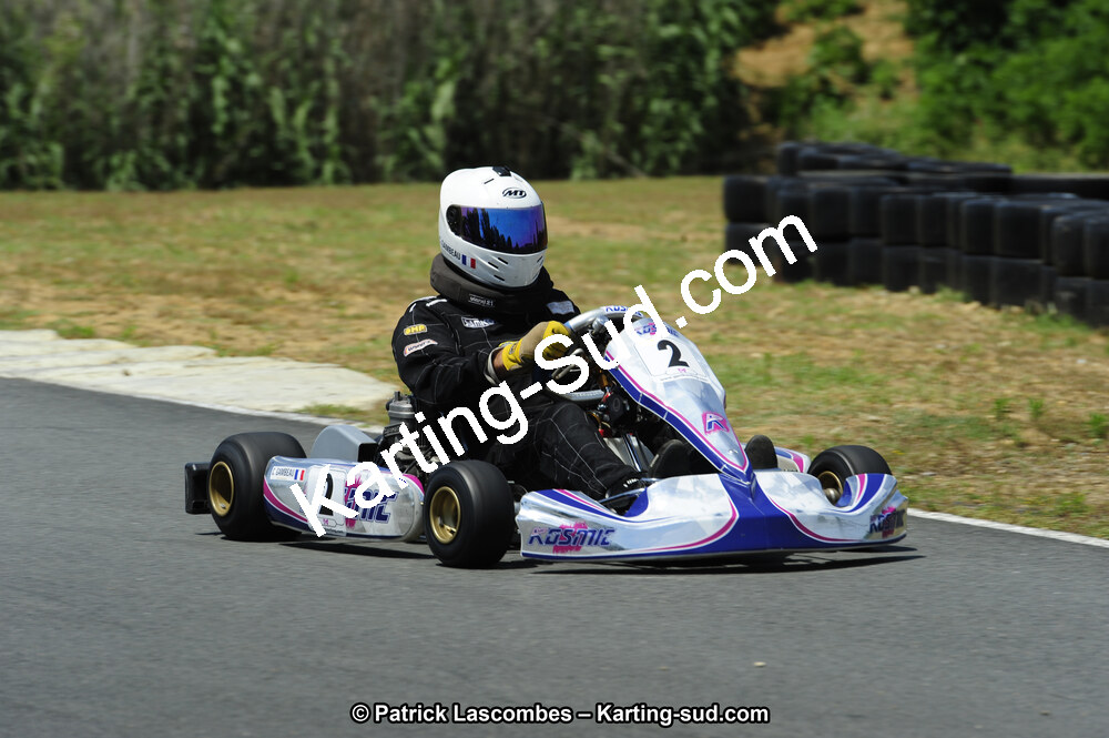 24/06/2012 : Trophée Bruno Garcia & Vincent Sanchez à Layrac (Photos Patrick Lascombes) 2012 — karting