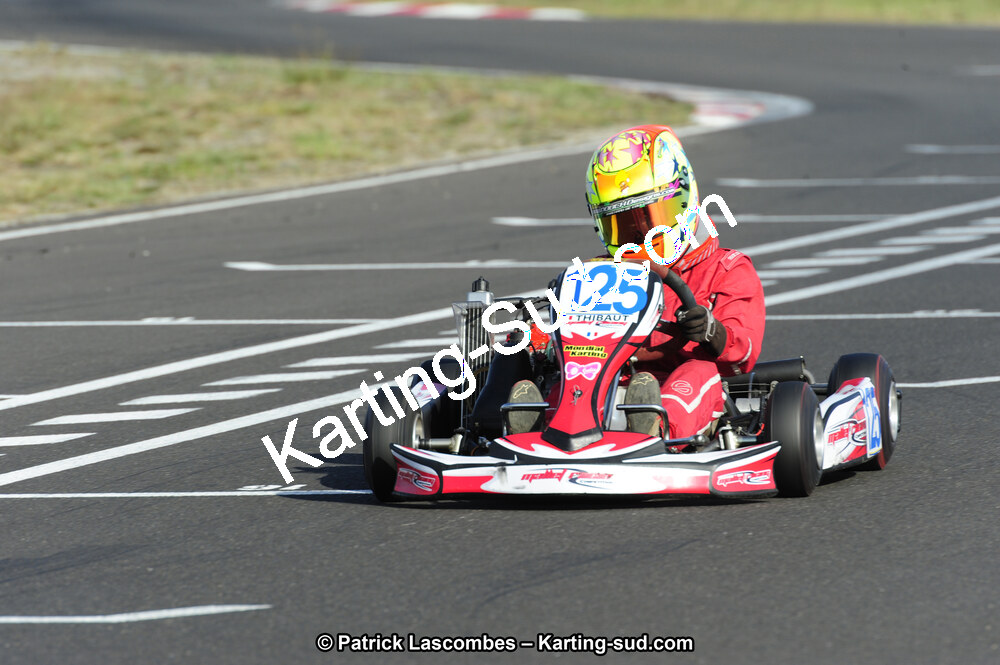 22/07/2012 : Trophée Kart Mag 2012 à Escource (Photos Patrick Lascombes) 2012 — karting
