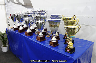 29/07/2012 : Championnat de France Minime / Cadet / Nationale 2012 à Escource (Photos Patrick Lascombes) 2012 — karting