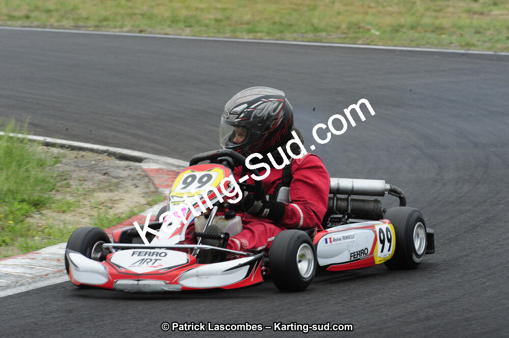29/07/2012 : Championnat de France Minime / Cadet / Nationale 2012 à Escource (Photos Patrick Lascombes) 2012 — karting