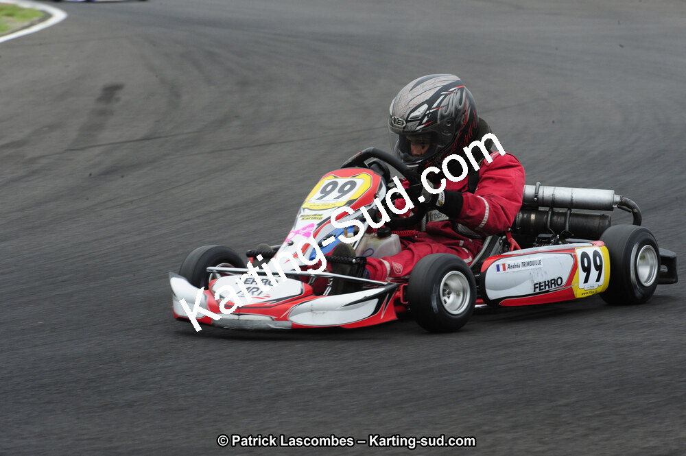 29/07/2012 : Championnat de France Minime / Cadet / Nationale 2012 à Escource (Photos Patrick Lascombes) 2012 — karting