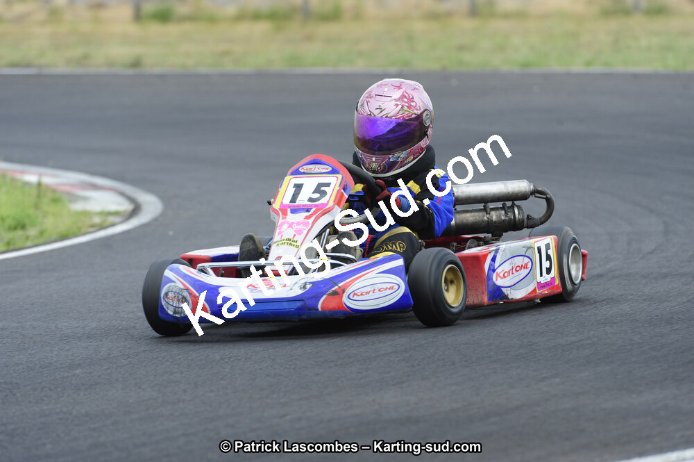 29/07/2012 : Championnat de France Minime / Cadet / Nationale 2012 à Escource (Photos Patrick Lascombes) 2012 — karting