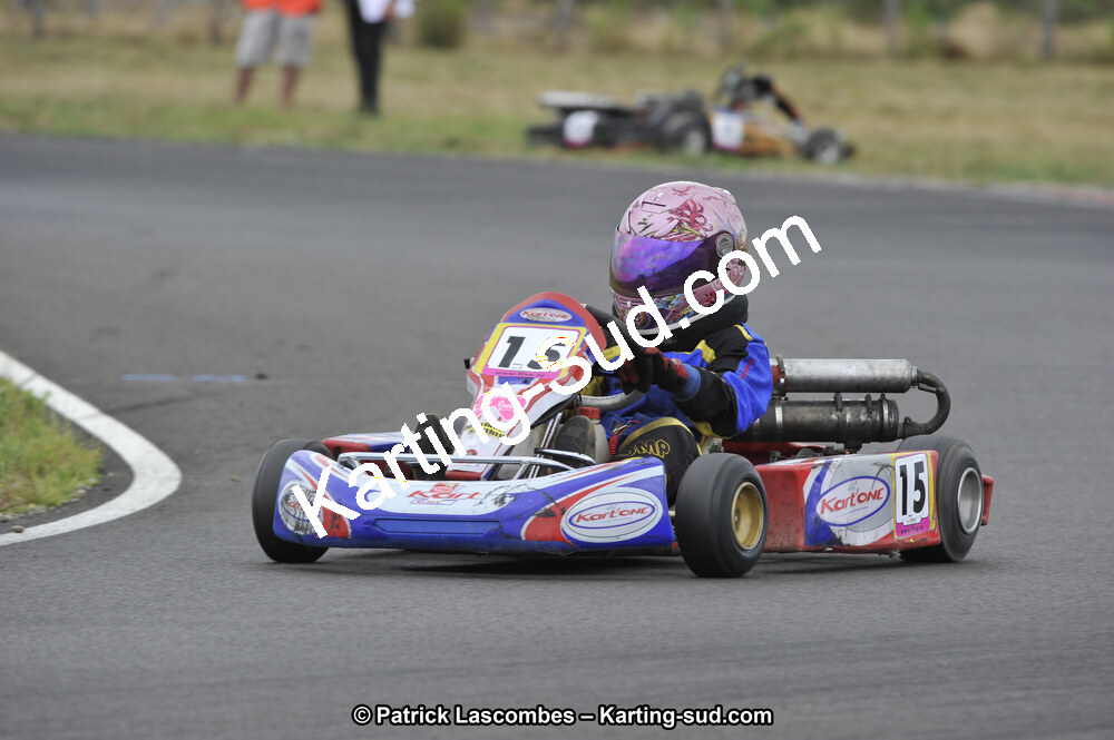 29/07/2012 : Championnat de France Minime / Cadet / Nationale 2012 à Escource (Photos Patrick Lascombes) 2012 — karting