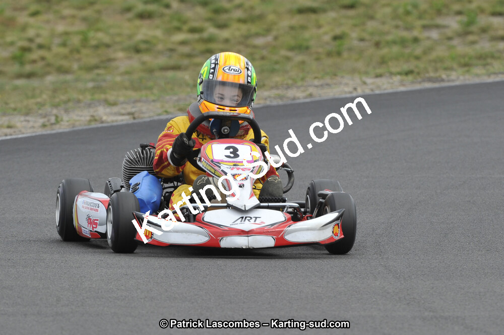 29/07/2012 : Championnat de France Minime / Cadet / Nationale 2012 à Escource (Photos Patrick Lascombes) 2012 — karting