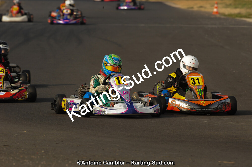 DSC_4307.jpg