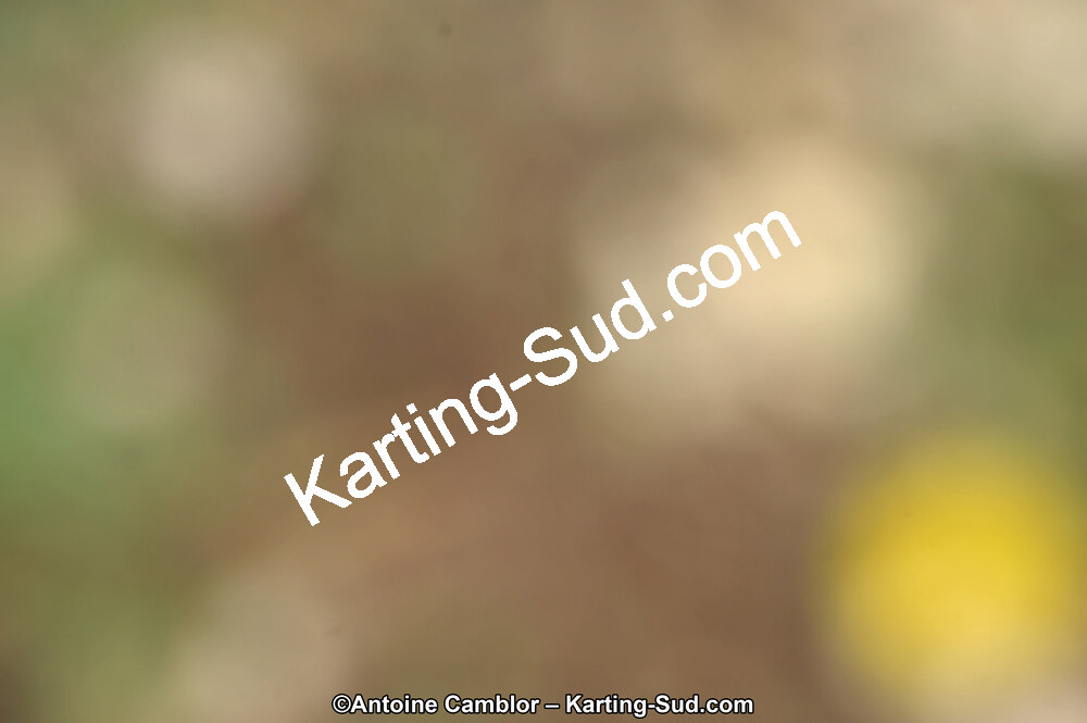 DSC_8768_DxO.jpg