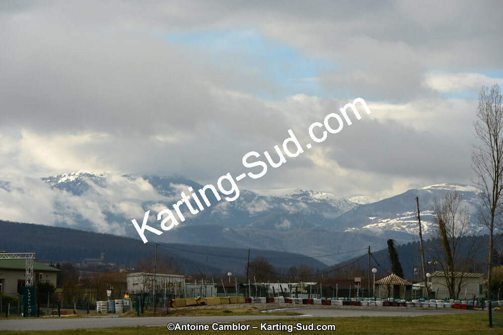 DSC_3951.jpg