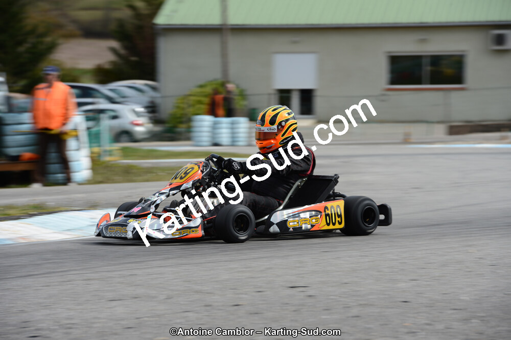 DSC_7319.jpg