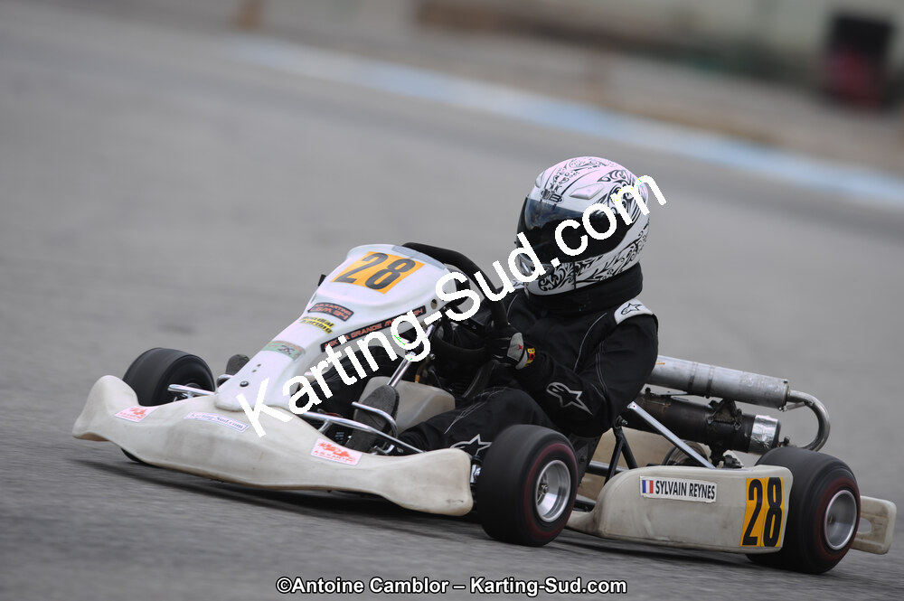 DSC_7924.jpg