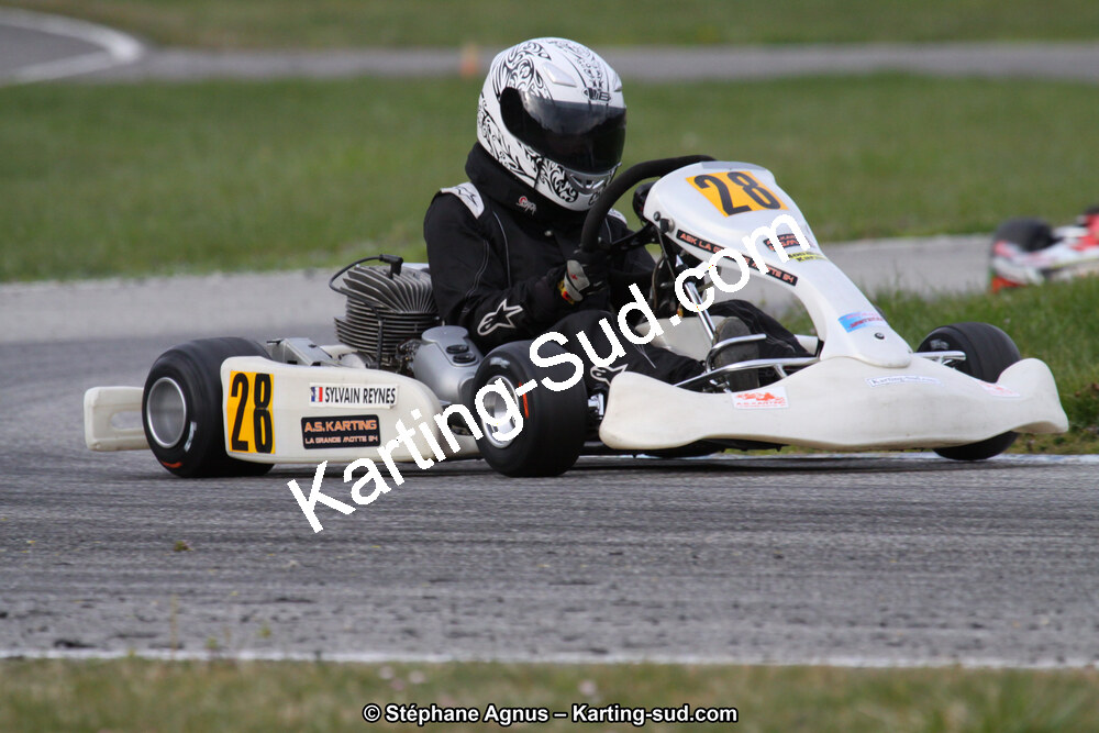 IMG_3619.JPG
