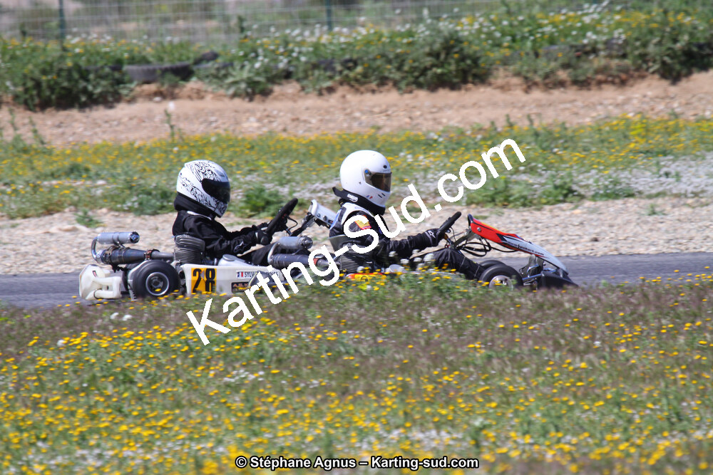IMG_8864.JPG