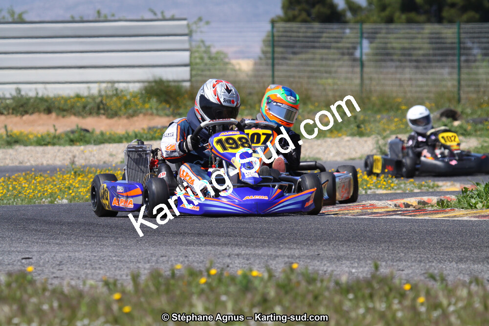IMG_8966.JPG