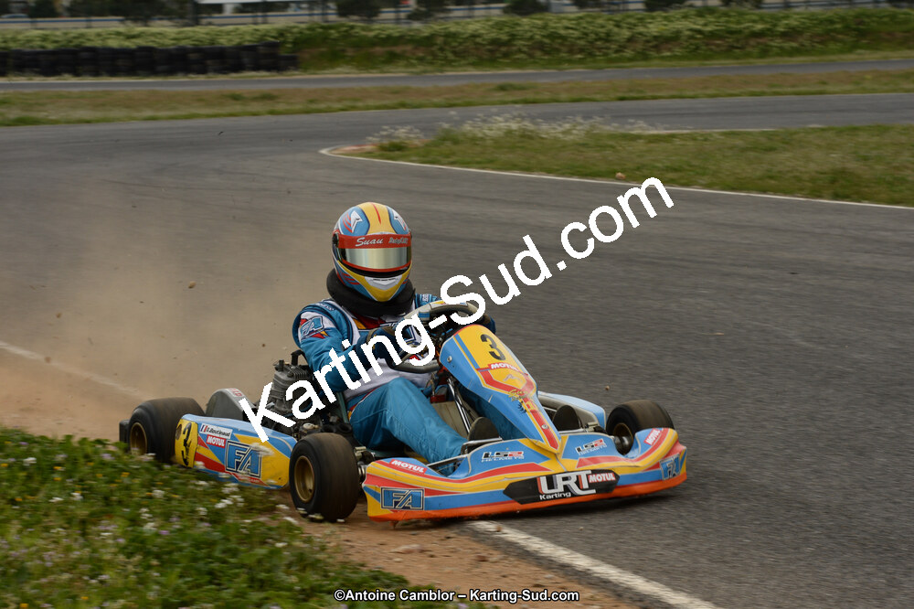 14/04/2013 : 2ème manche du Championnat du Sud 2013 à Rivesaltes (Photos Antoine Camblor) 2013 — karting
