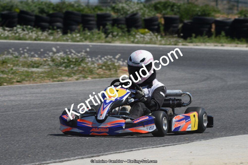 14/04/2013 : 2ème manche du Championnat du Sud 2013 à Rivesaltes (Photos Antoine Camblor) 2013 — karting