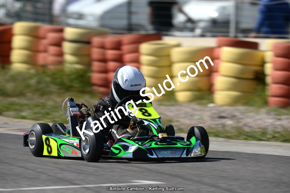 DSC_7332.jpg