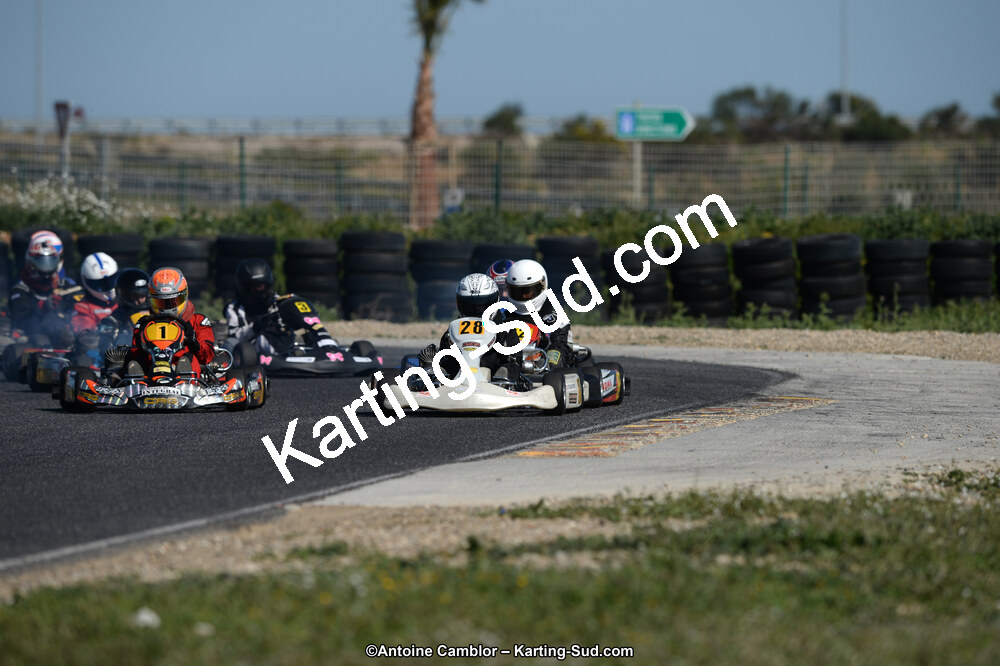 DSC_7379.jpg