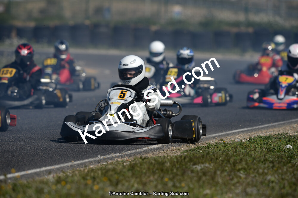 DSC_7384.jpg