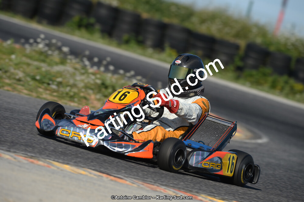 DSC_7727.jpg