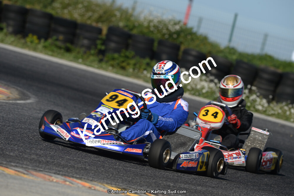 DSC_7784.jpg