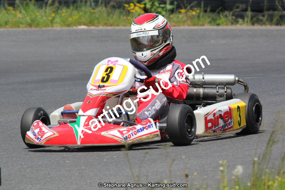 05/05/2013 : 3ème manche du Championnat du Sud 2013 à Belmont sur Rance (Photos Stéphane Agnus) 2013 — karting