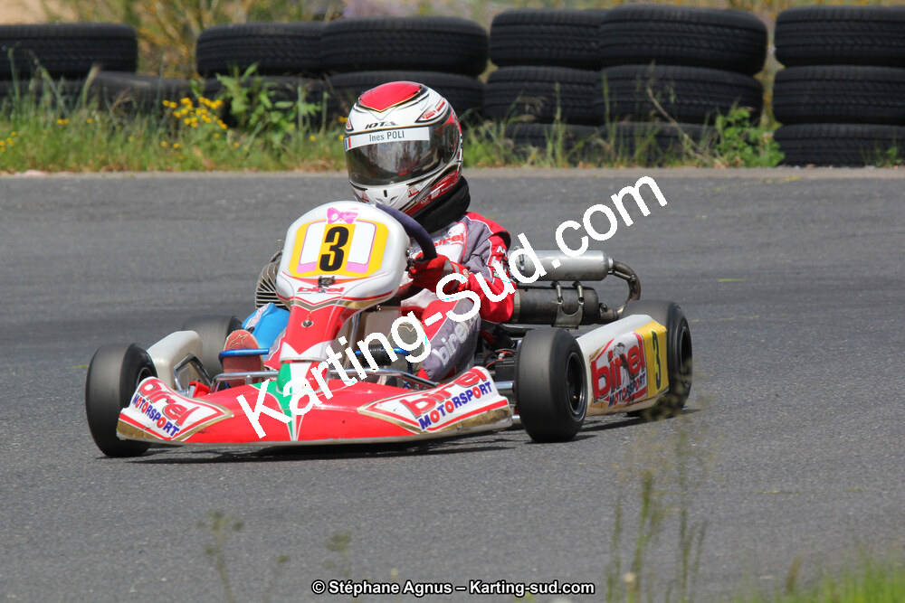 05/05/2013 : 3ème manche du Championnat du Sud 2013 à Belmont sur Rance (Photos Stéphane Agnus) 2013 — karting