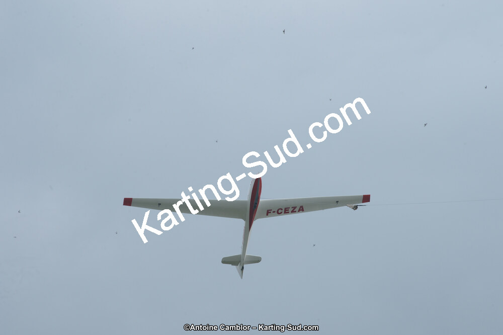 DSC_0233.jpg