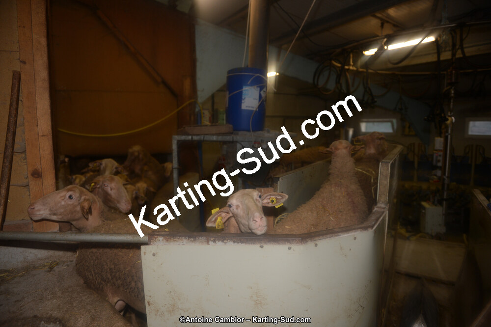 DSC_1352.jpg