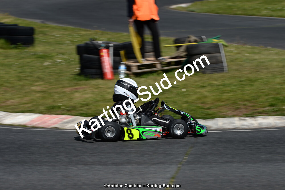 DSC_2528.jpg