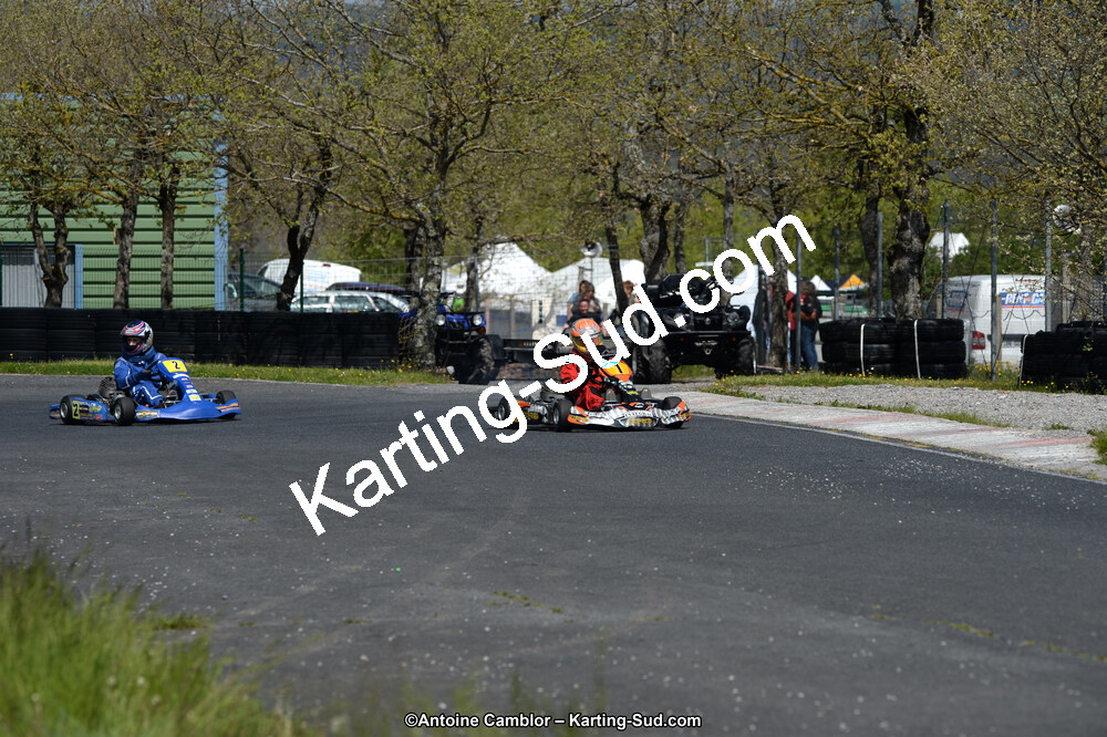 DSC_2695.jpg