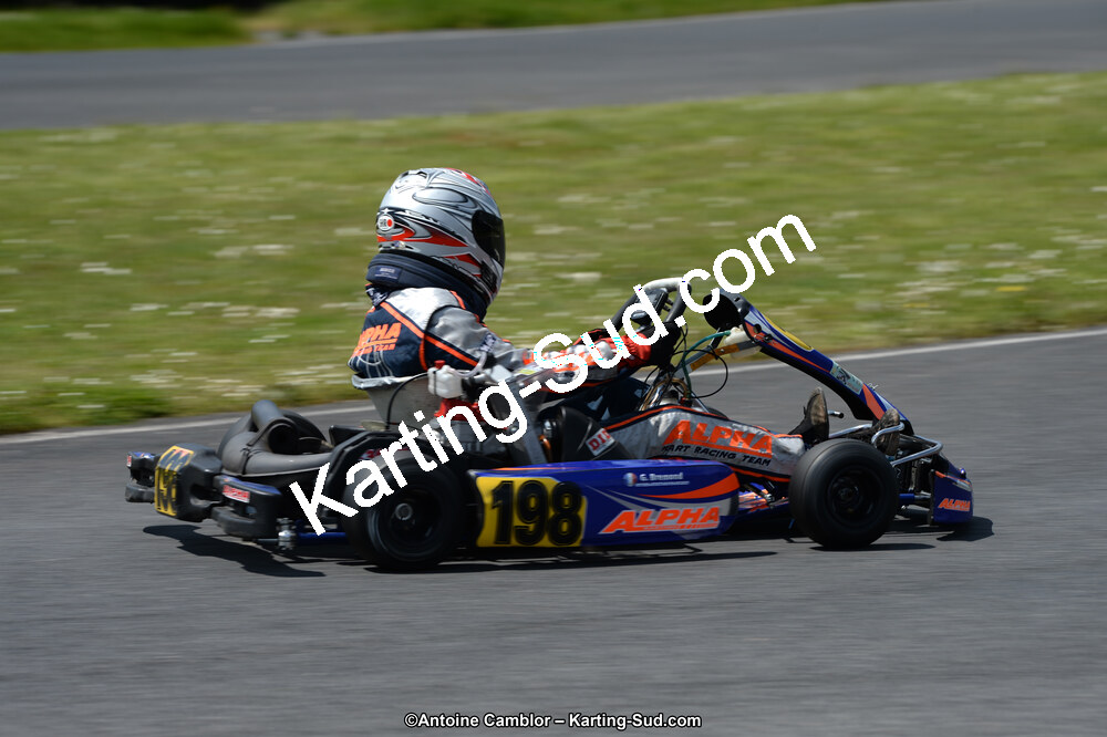 DSC_2932.jpg