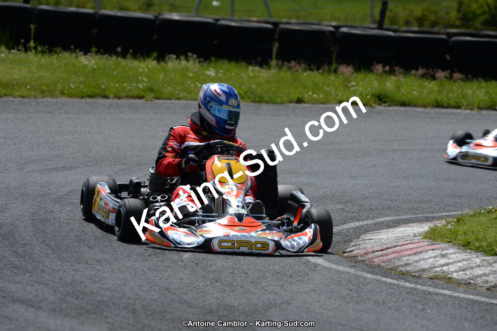 DSC_3117.jpg
