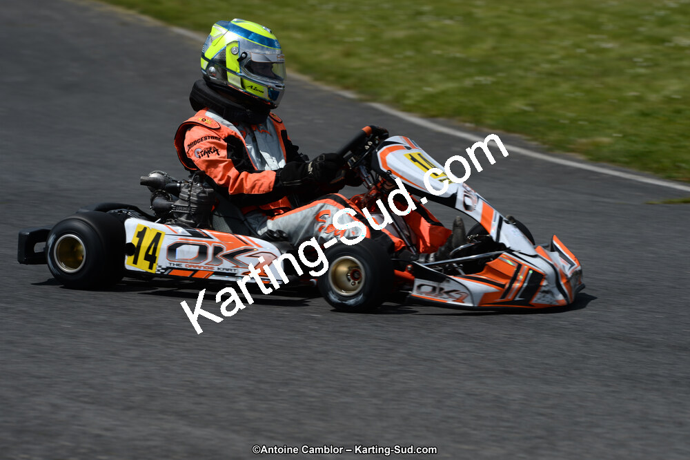 DSC_3176.jpg