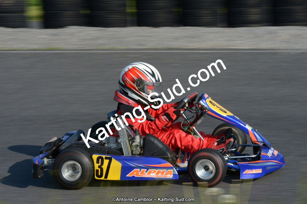 DSC_8684.jpg