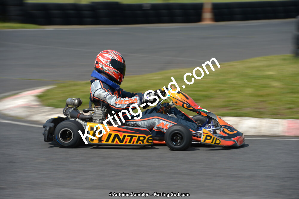 DSC_9315.jpg