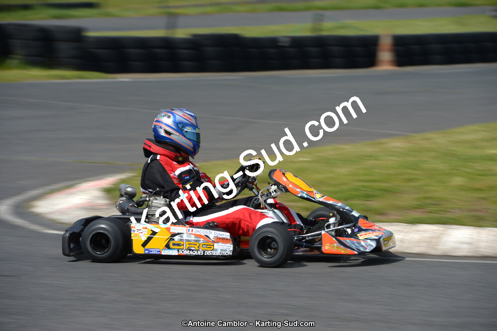 DSC_9320.jpg