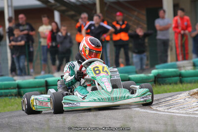 02/06/2013 : 4ème manche du Championnat du Sud 2013 à Alès (Photos Stéphane Agnus) 2013 — karting