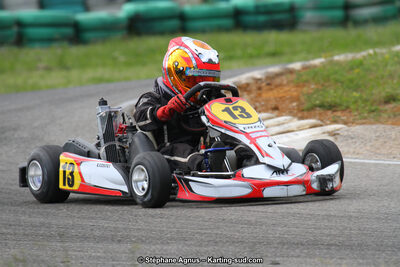 02/06/2013 : 4ème manche du Championnat du Sud 2013 à Alès (Photos Stéphane Agnus) 2013 — karting