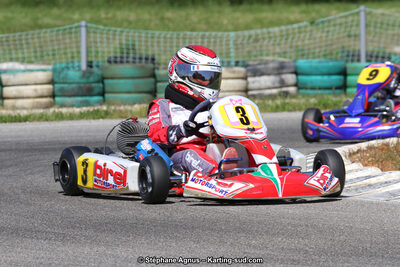 02/06/2013 : 4ème manche du Championnat du Sud 2013 à Alès (Photos Stéphane Agnus) 2013 — karting