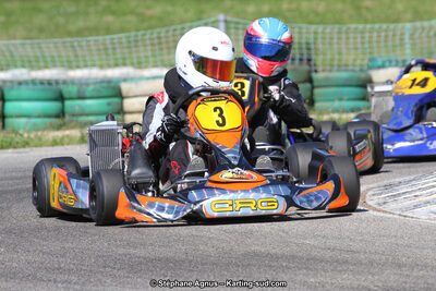 02/06/2013 : 4ème manche du Championnat du Sud 2013 à Alès (Photos Stéphane Agnus) 2013 — karting