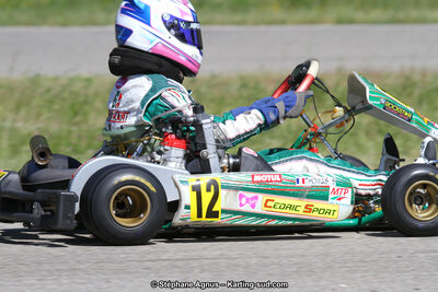 02/06/2013 : 4ème manche du Championnat du Sud 2013 à Alès (Photos Stéphane Agnus) 2013 — karting